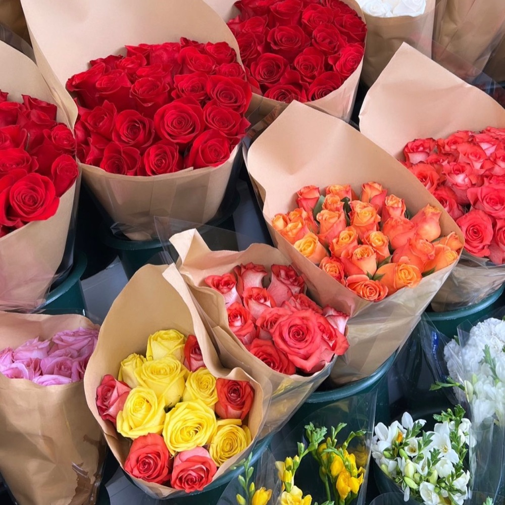 Meet your Posher, Cataleya